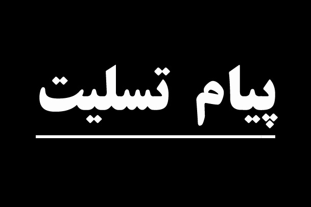 کمیسیون فرهنگی مجلس درگذشت عباس کیارستمی را تسلیت گفت/ او از سرمایه‌های هنری کشورمان بود